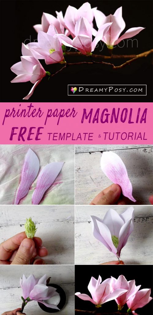 How to make paper Magnolia from printer paper, FREE template